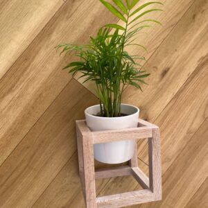 Wooden cube shaped wall planter with ceramic plant pot.  Finished in white wax coating.