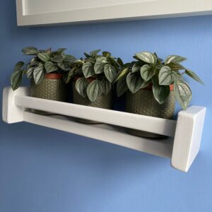 Handmade Wooden Plant Shelf: Wall Mounted Display